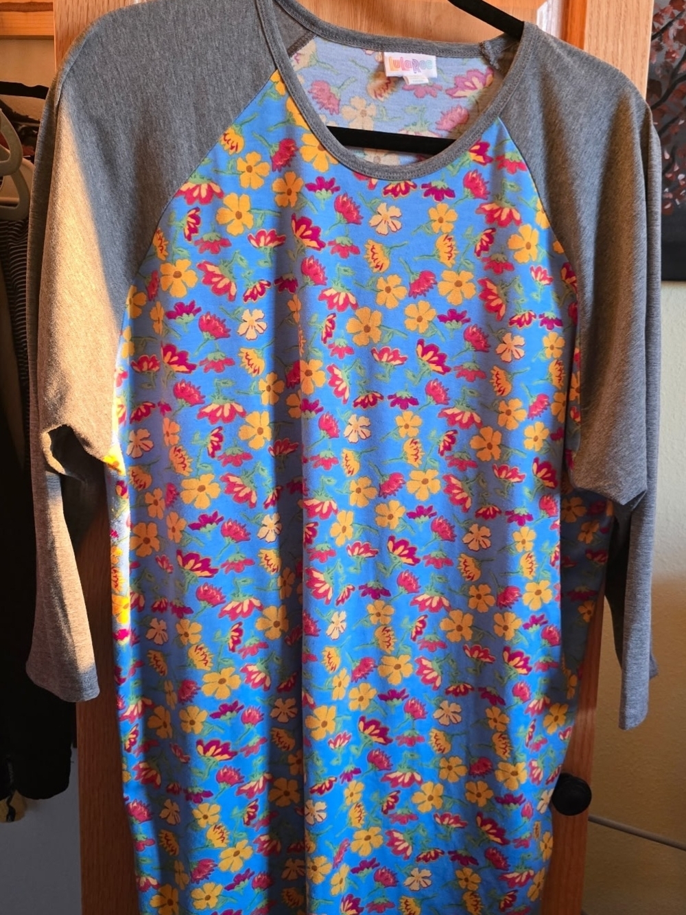 LuLaRoe Blue Floral Raglan Top with Gray Sleeves